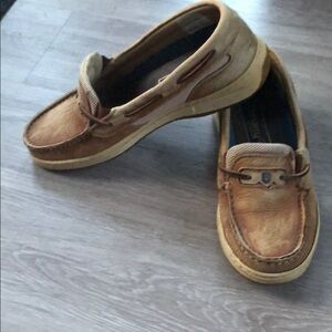 Dubarry of Ireland | 6.5 | Deck Shoes in Wine